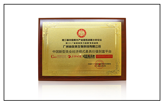 新型美业经济模式